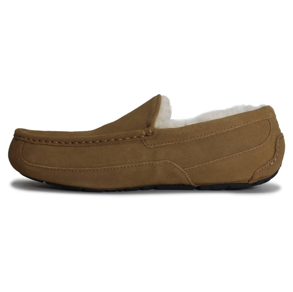 Ugg Ascot Suede Mens Shoes#color_chestnut